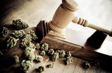 House Passes MORE Act To Federally Decriminalize Weed