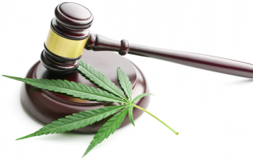 Congressional Democrats Introduce Bill To Decriminalize All Drugs