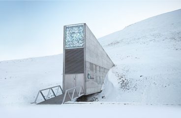 A Doomsday Vault Will Preserve The World’s Best Music