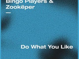 Bingo Players & ZOOKËPER Return To ‘Do What You Like’