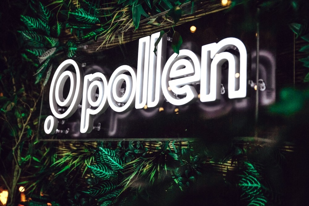 Pollen Begins Bankruptcy Restructuring