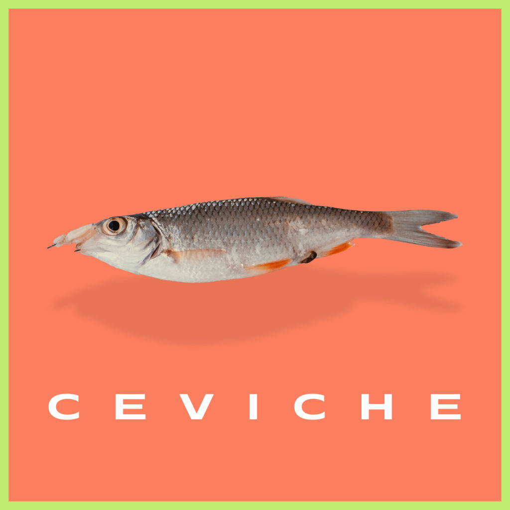 EDMjunkies Download: Tzusan “Ceviche”