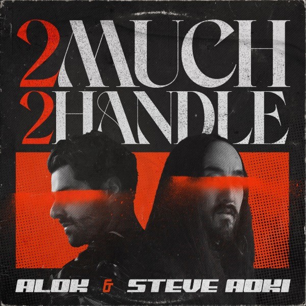 Alok and Steve Aoki teamed up for “2 Much 2 Handle” !