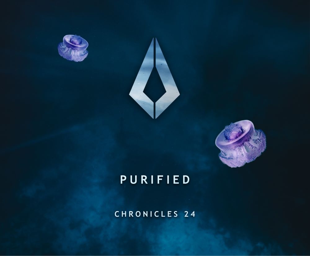 Purified Presents ‘Chronicles 24’ Compilation