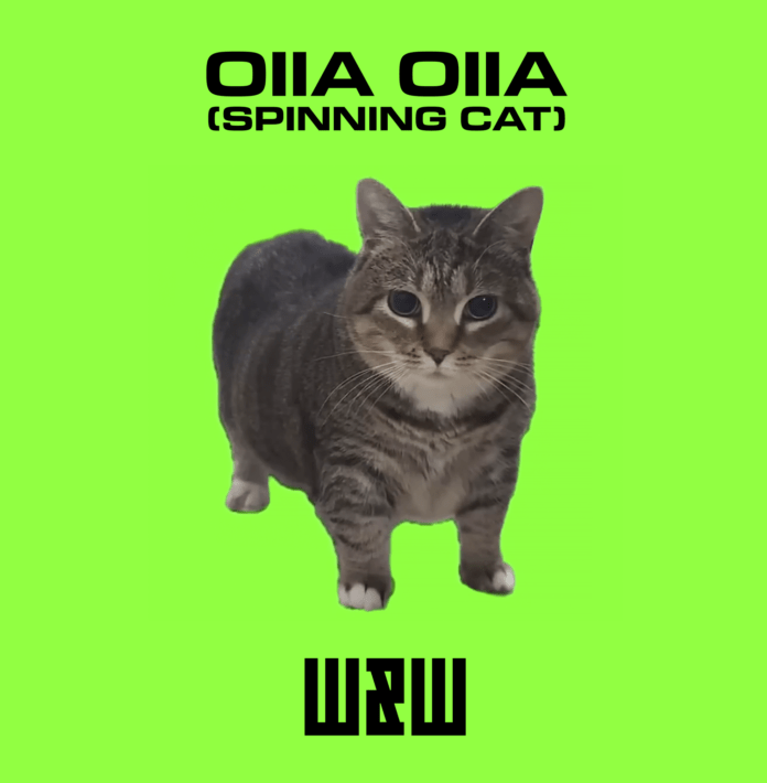 W&W GIVES ETHEL THE VIRAL OIIA CAT A PARTY-READY MAKEOVER ON NEW TRACK ‘OIIA OIIA’ !